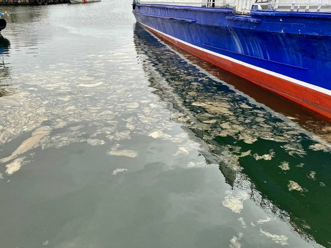 İstanbul'un o ilçesinde müsilaj oluşmaya başladı! Korkutan manzara geri döndü 8